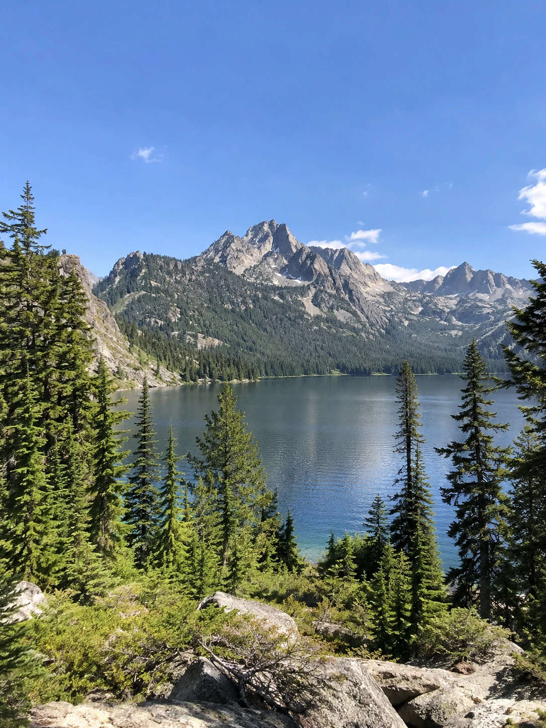 Mountain lake framed by fir trees